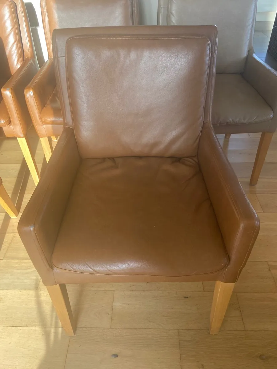 6 Leather dining chairs - Image 3
