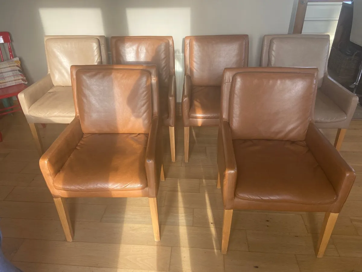 6 Leather dining chairs - Image 2