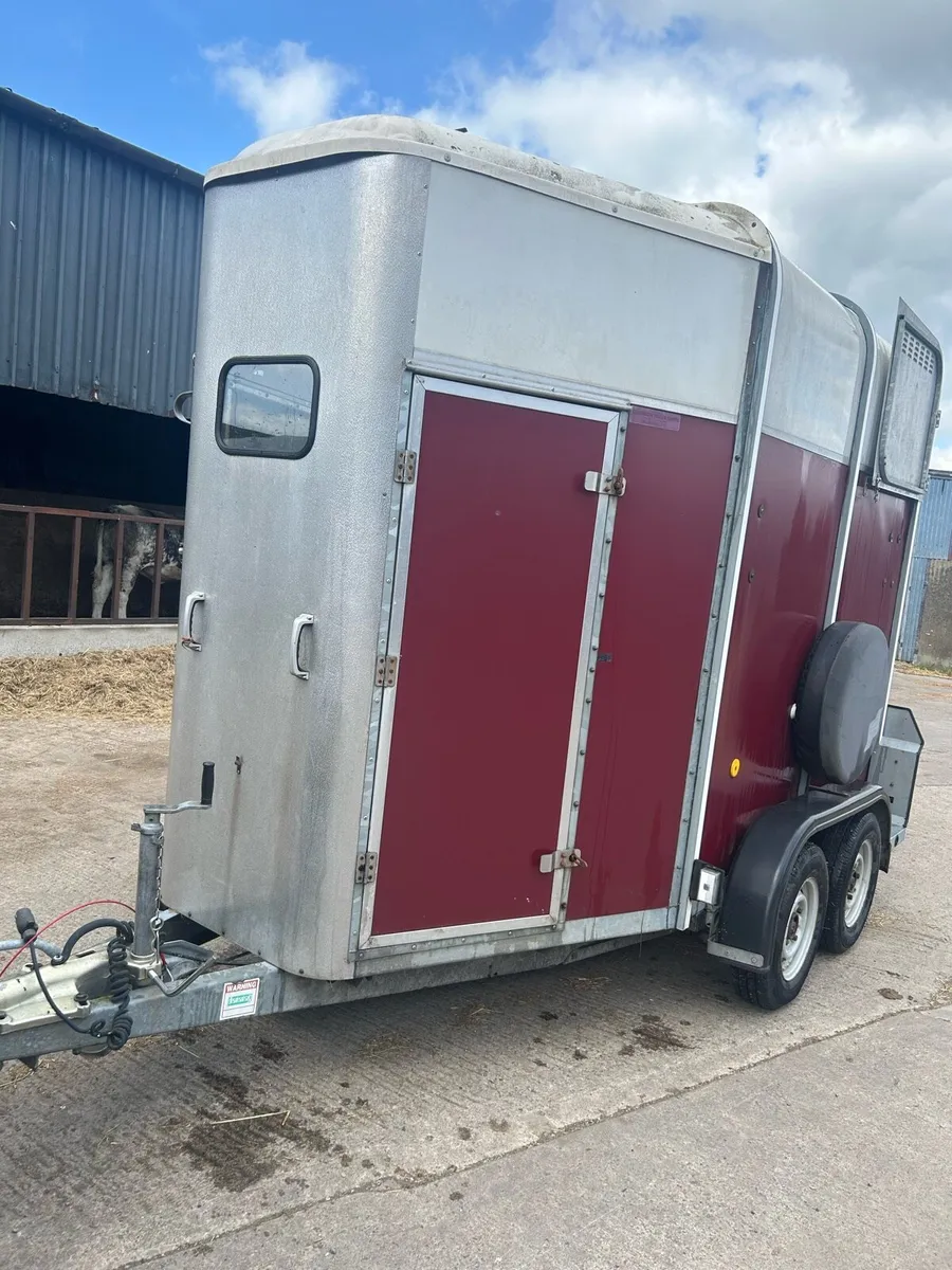 Ifor Williams 505 Horsebox - Image 1