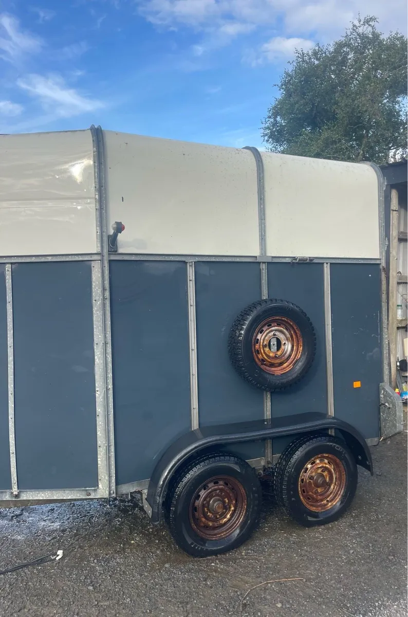 Monaghan mare and foal horse box - Image 3