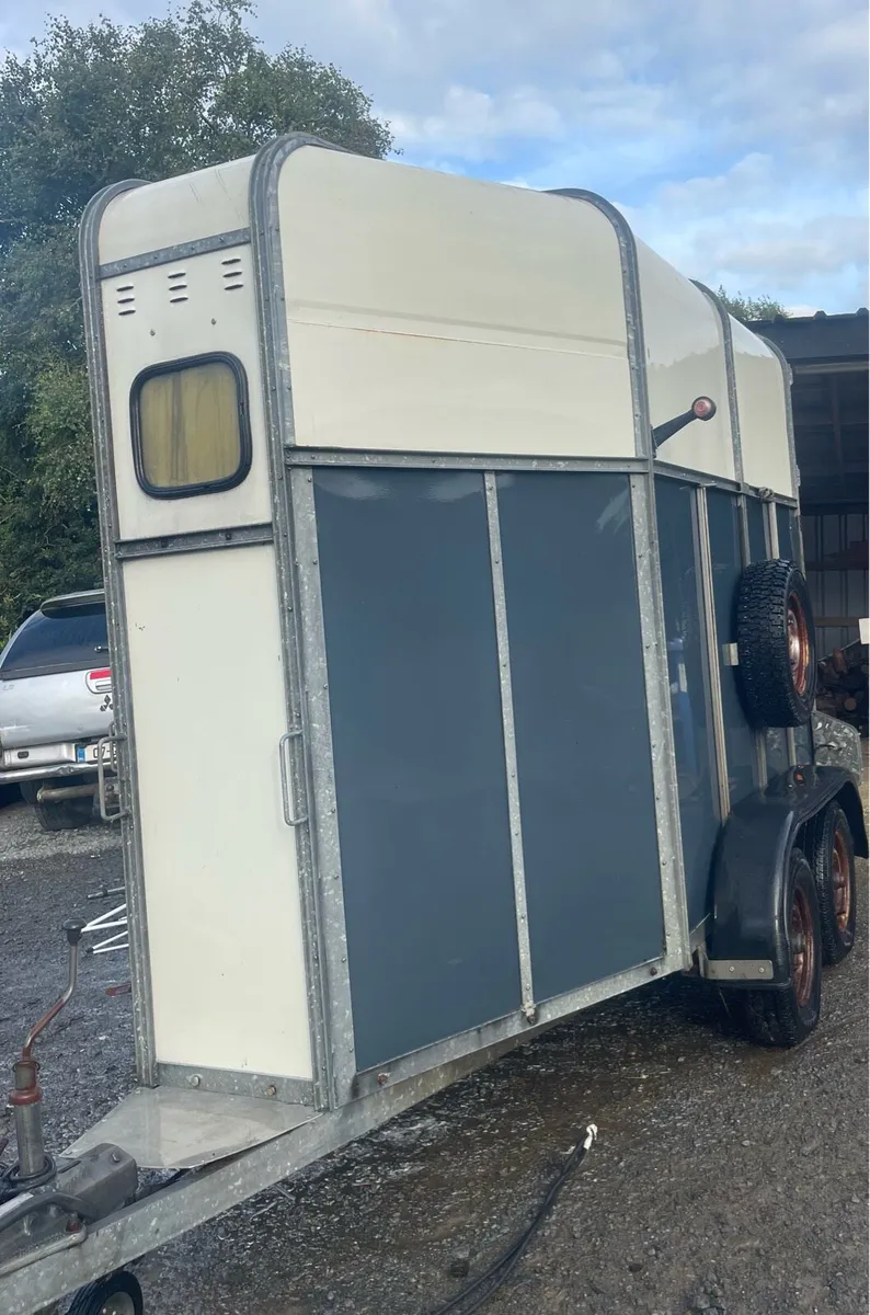 Monaghan mare and foal horse box - Image 4