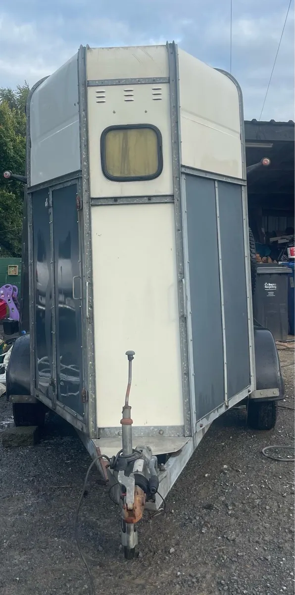 Monaghan mare and foal horse box - Image 1