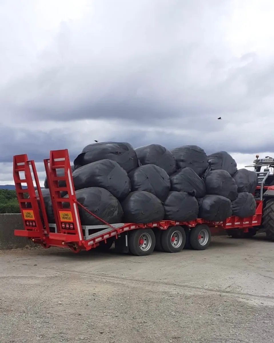 Low loader - Image 2