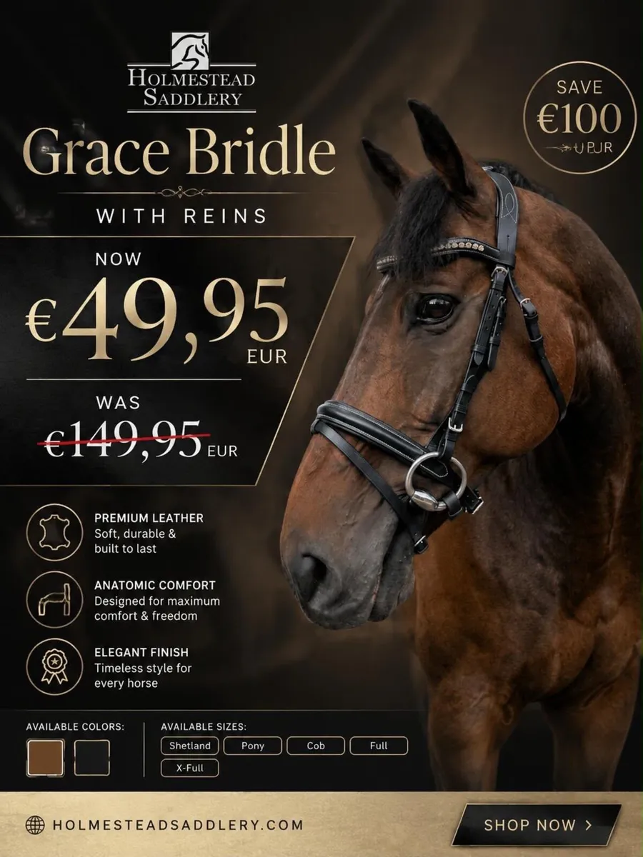 German bridles SAVE €100 was €149 FOR €49.99 - Image 1