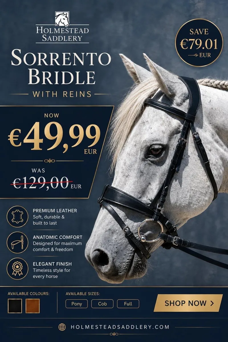 German bridles SAVE €100 was €149 FOR €49.99 - Image 2