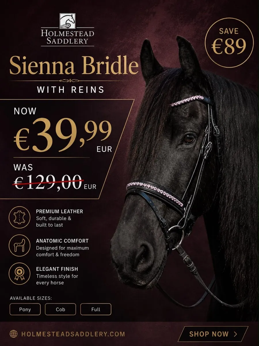 German bridles SAVE €100 was €149 FOR €49.99 - Image 3
