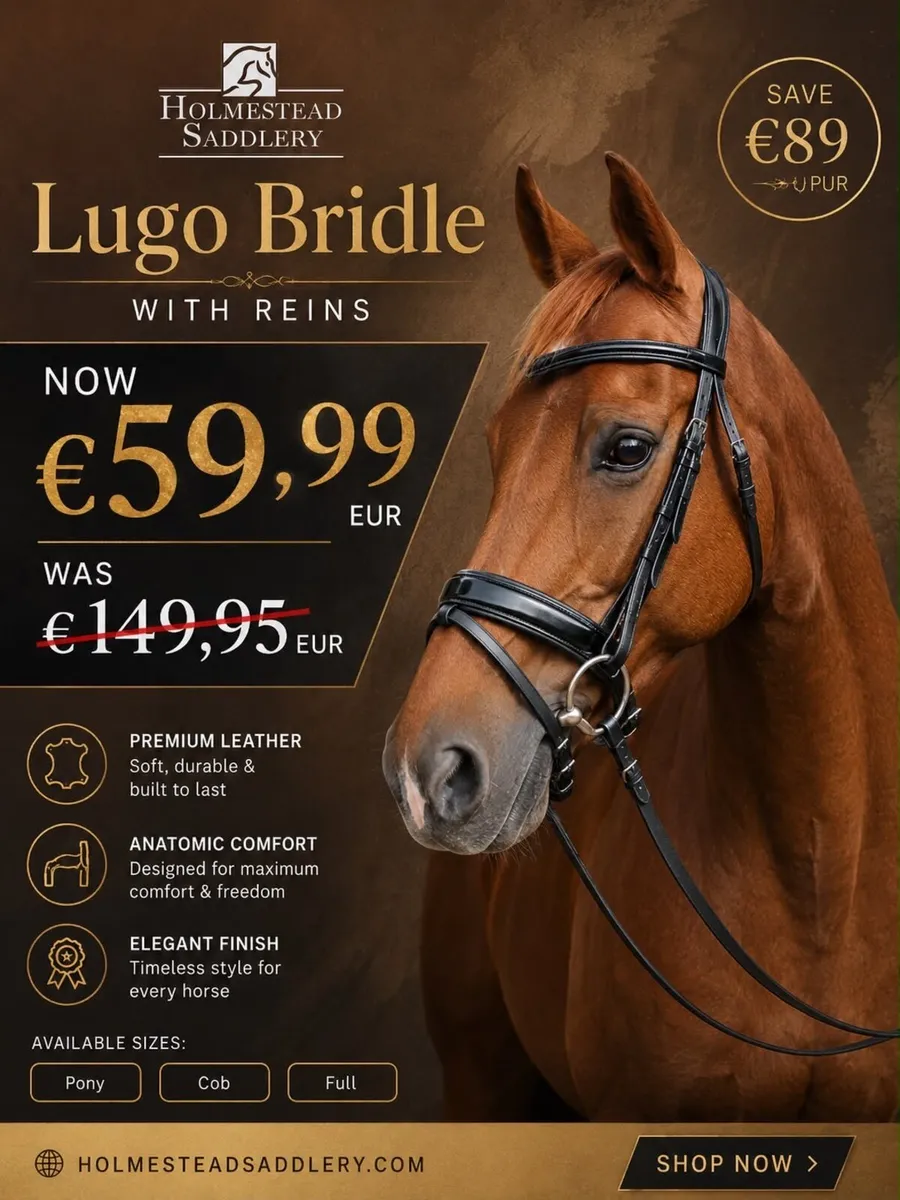 German bridles SAVE €100 was €149 FOR €49.99 - Image 4