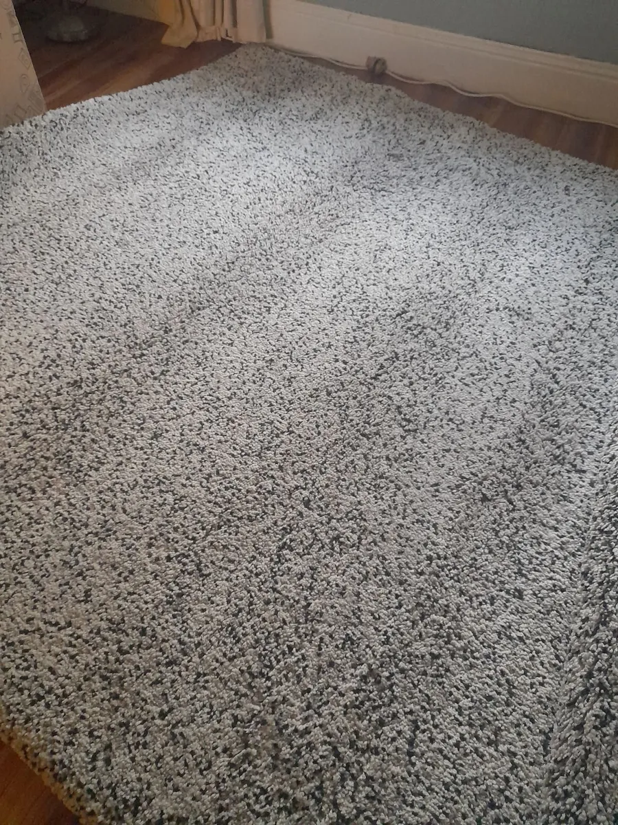 Large livingroom / bedroom rug.8 - Image 1