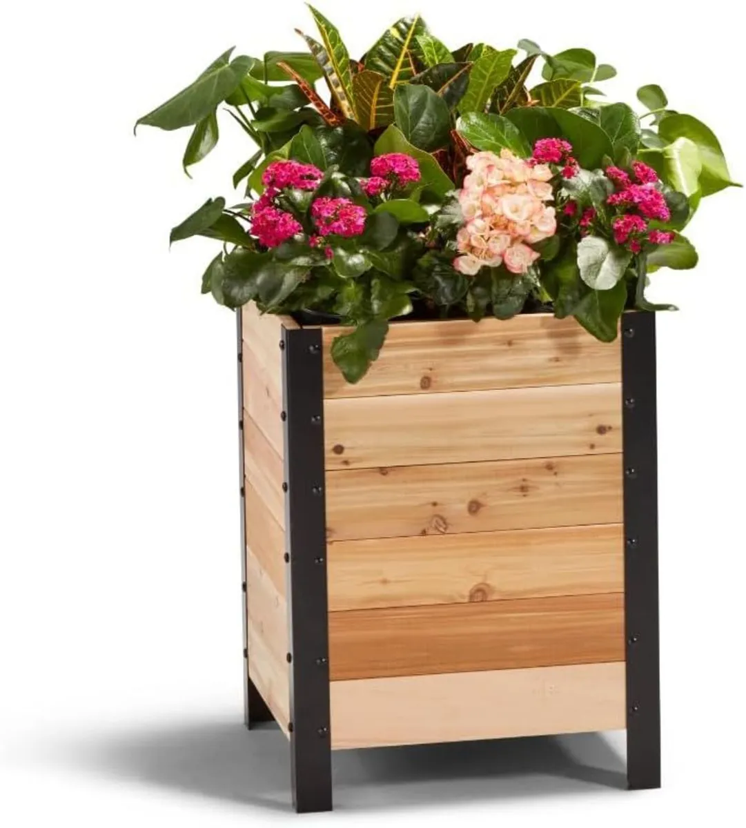 100% Canadian Cedar Wood Elevated Garden Bed - Image 1