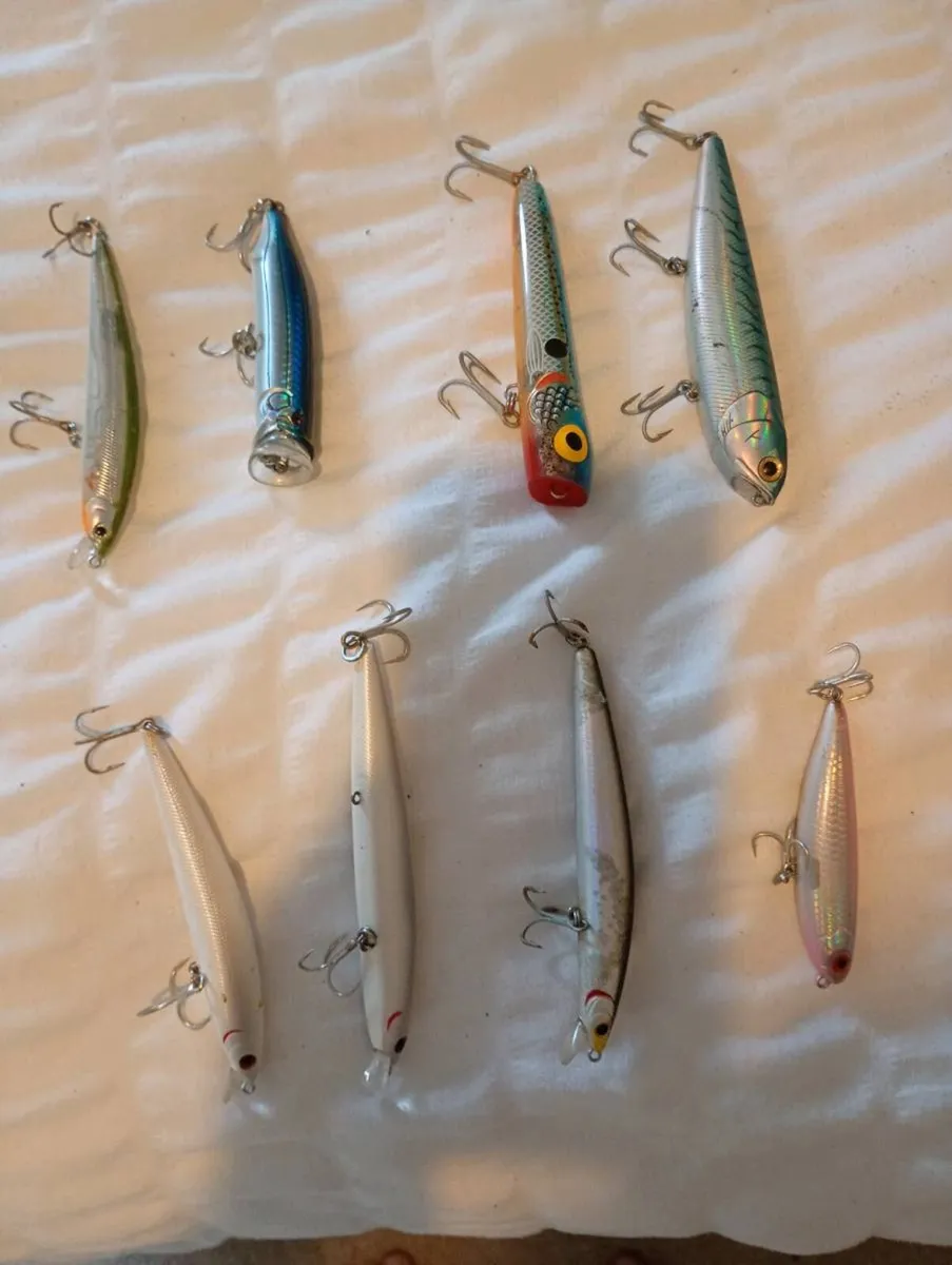 Bass hard plastic lures - Image 1