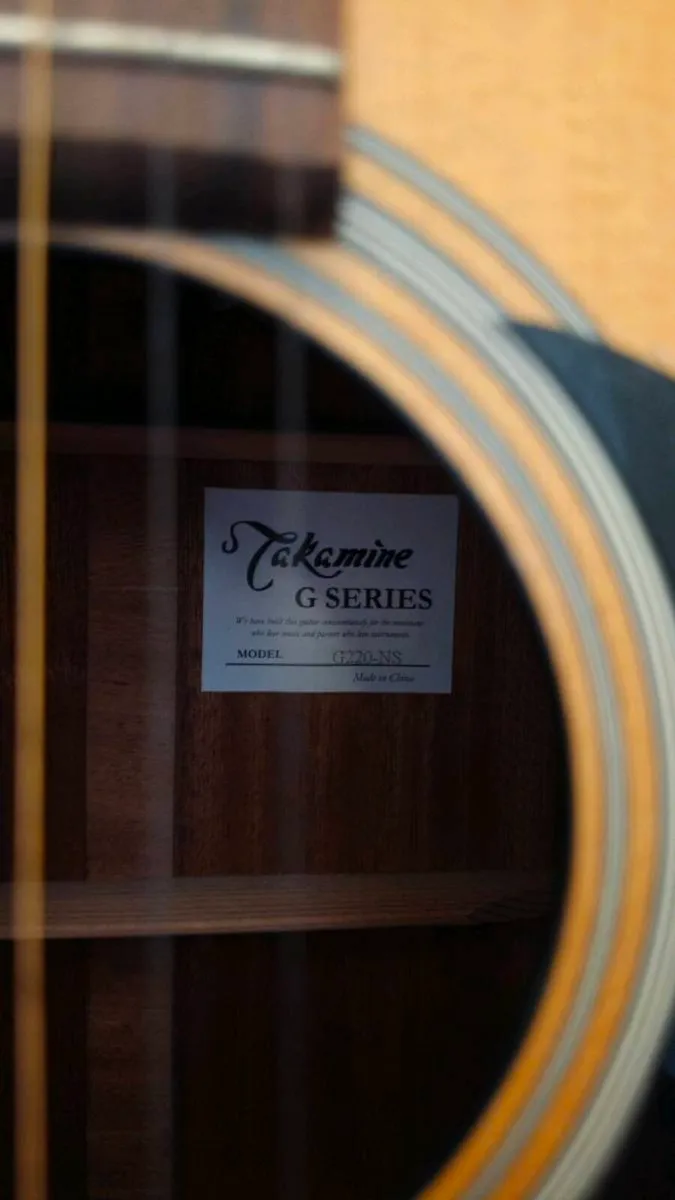 Takamine G Series Accustic Guitar - Image 2