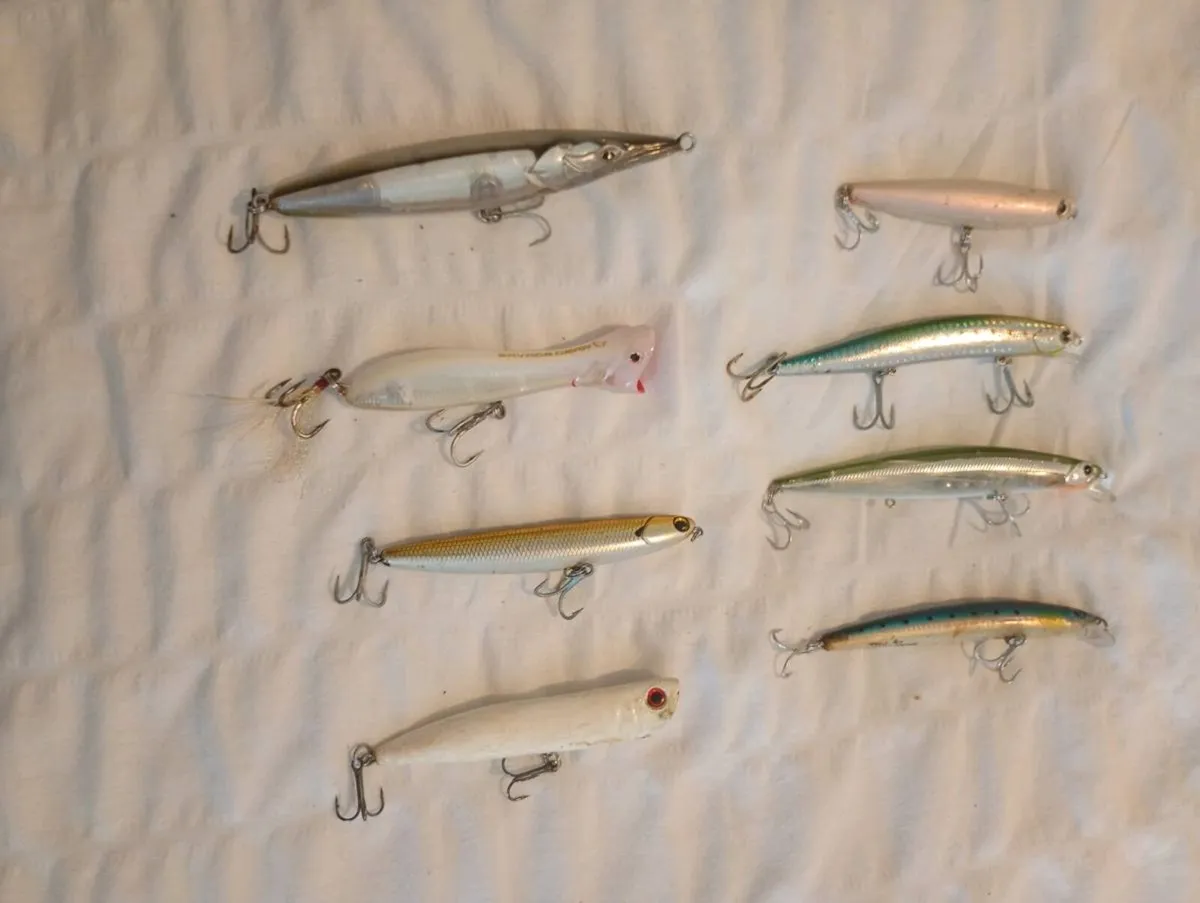 Bass Hard Plastic lures - Image 1