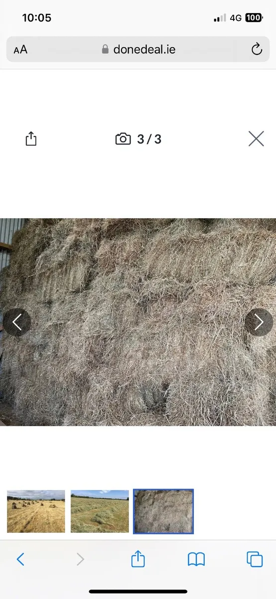 Square bales of hay - Image 1