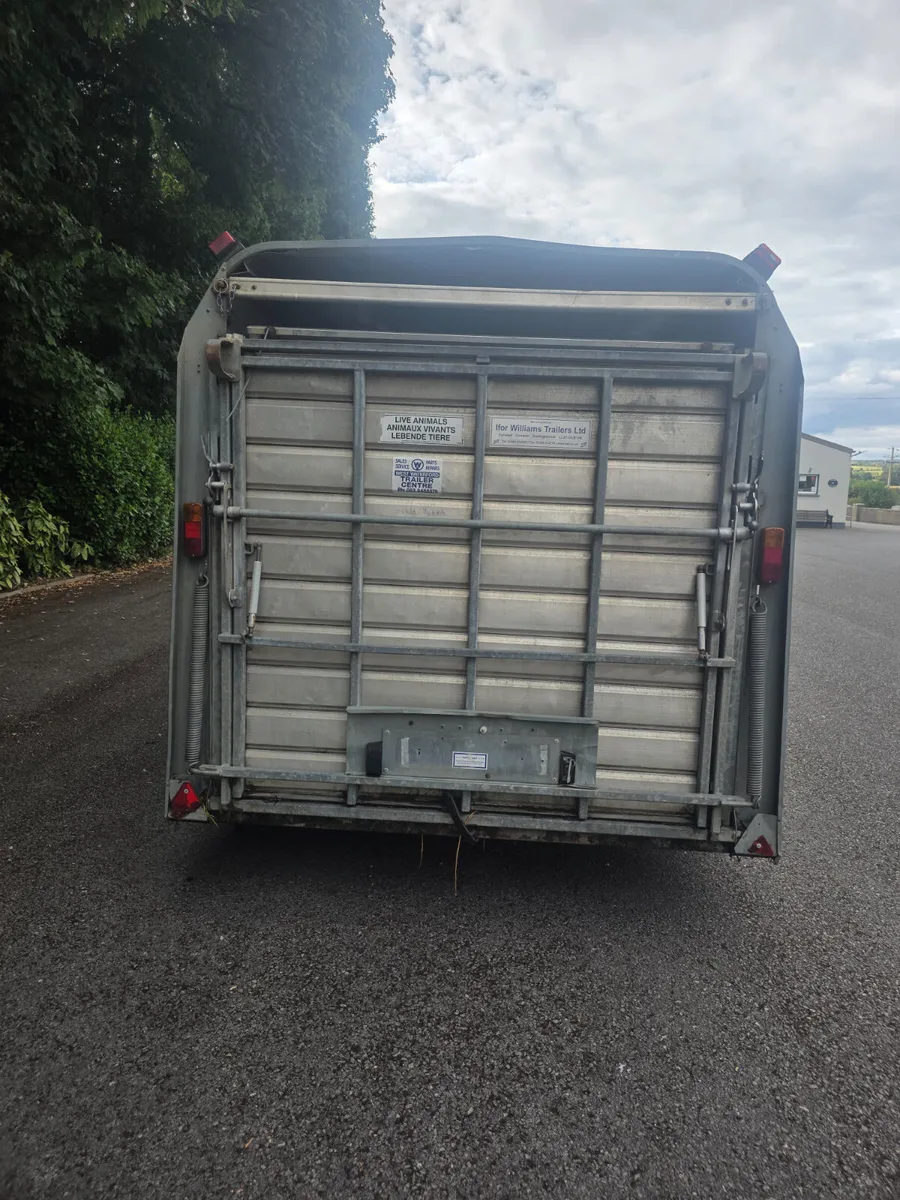 14ft ifor Williams livestock with decks - Image 3