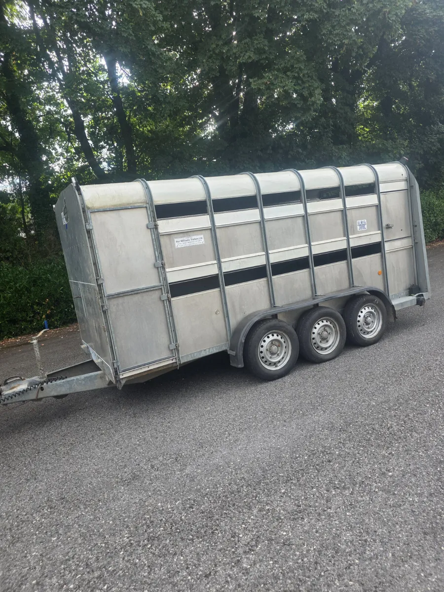 14ft ifor Williams livestock with decks - Image 2