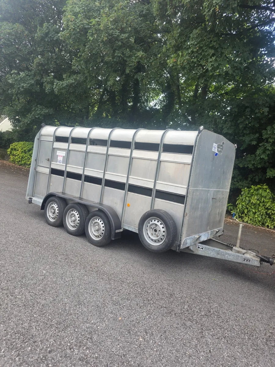 14ft ifor Williams livestock with decks - Image 1