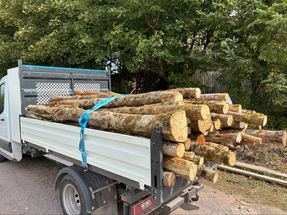 Firewood - Image 1