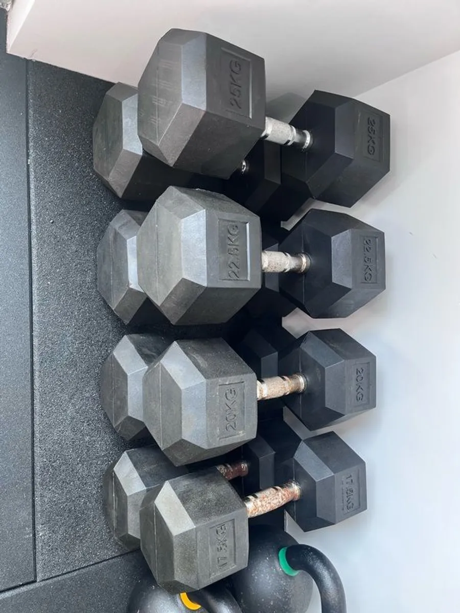 Hex Dumbbells 10-25kg - Image 1