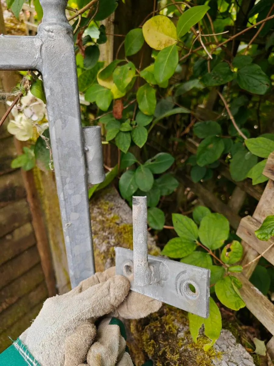 Side Gate - Image 2