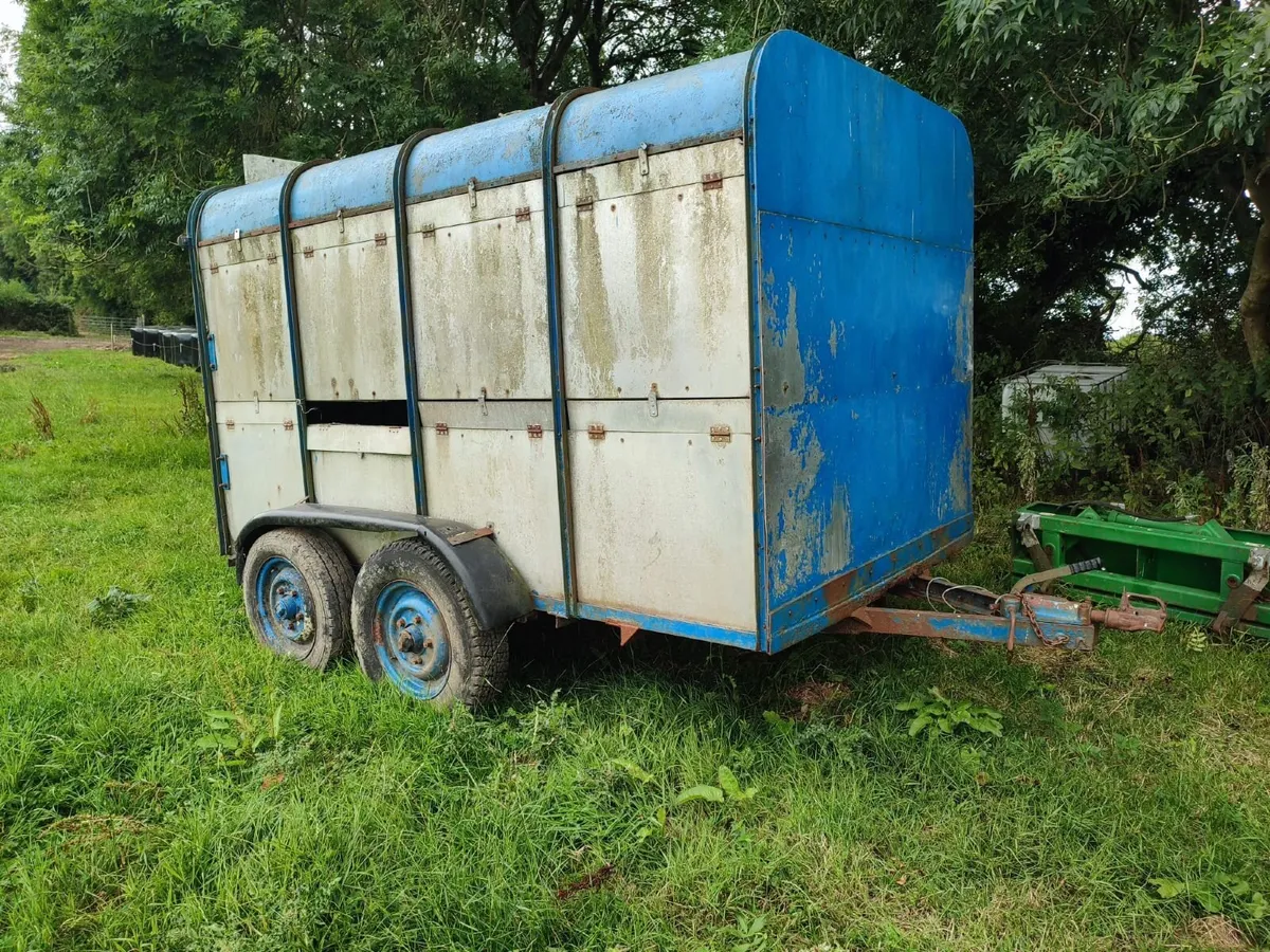 Cattle Trailer - Image 2