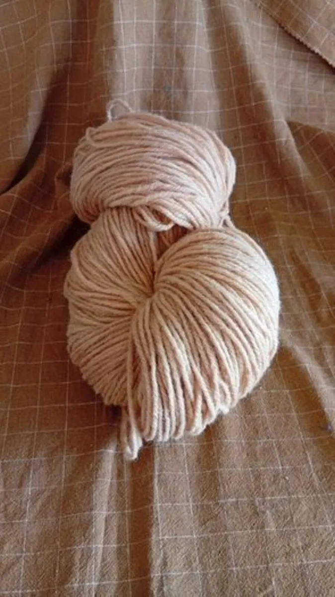 Large Skein Botanic Dyed Irish Wool Aran - Image 1