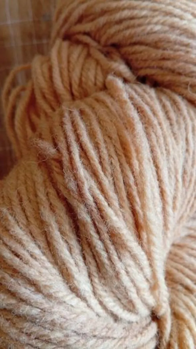 Large Skein Botanic Dyed Irish Wool Aran - Image 3