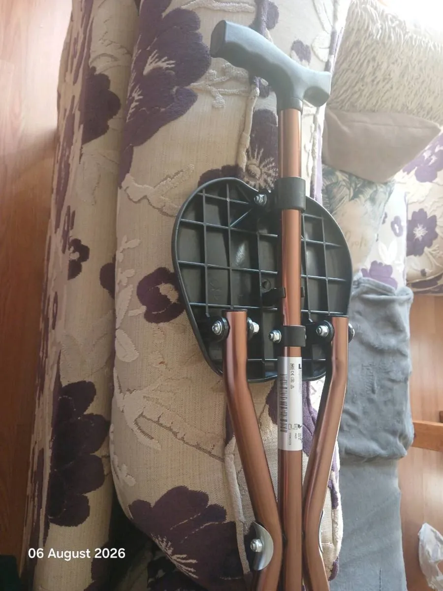 Walking stick seat - Image 2