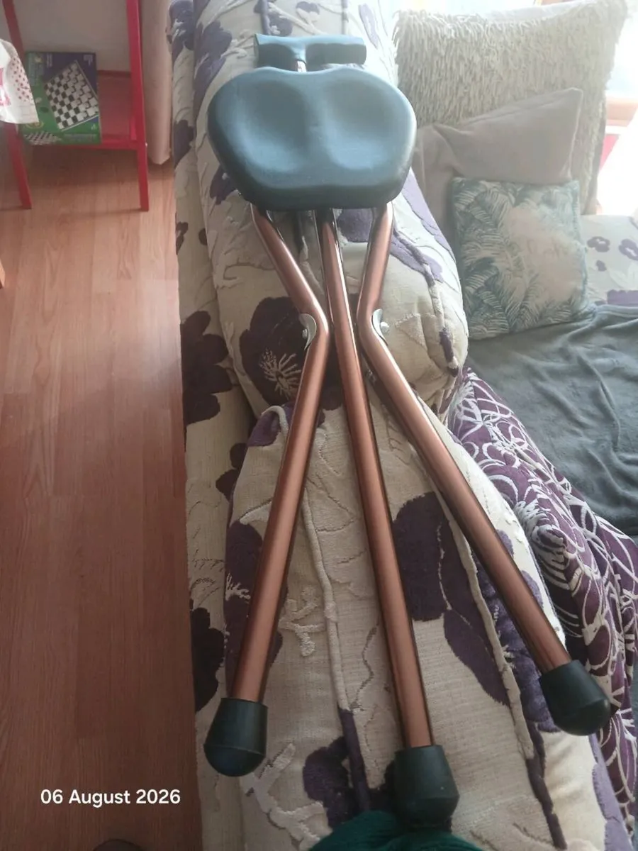 Walking stick seat - Image 3