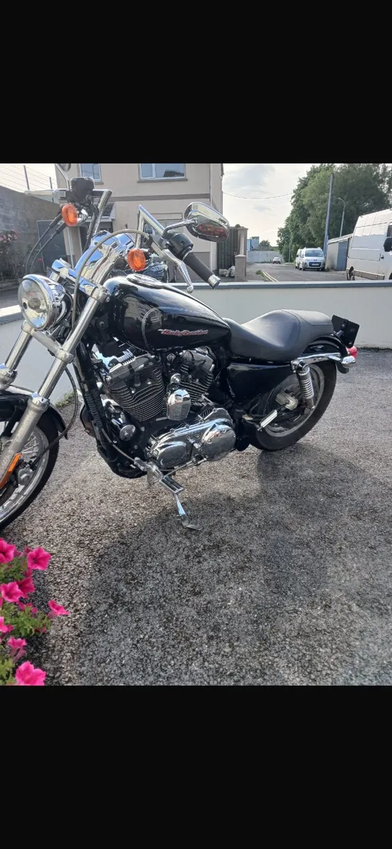 HARLEY DAVIDSON Other 2005 - Image 3
