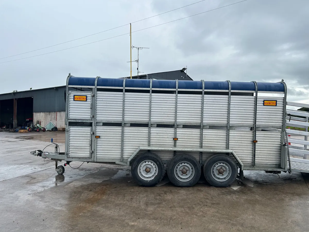 Porter 16' 6' Blue Top Trailer - Image 3
