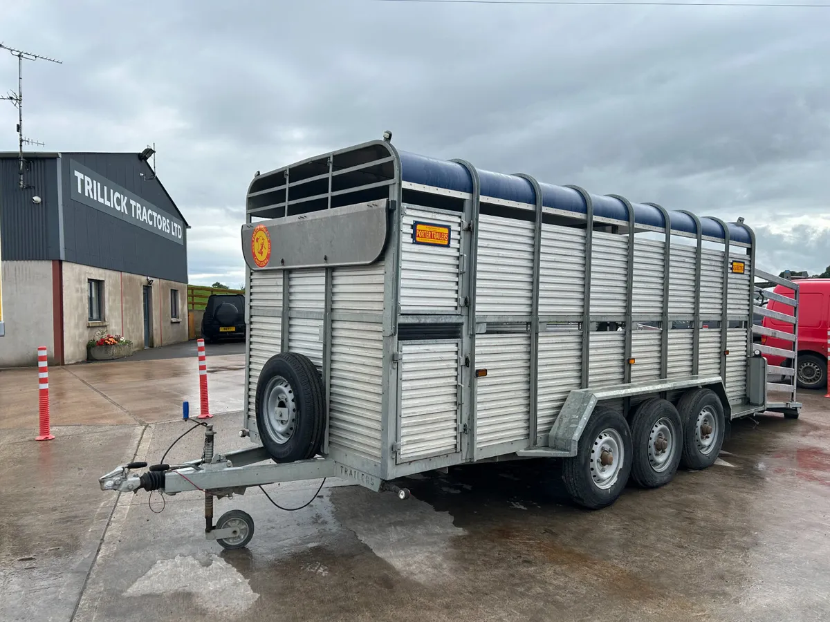 Porter 16' 6' Blue Top Trailer - Image 2