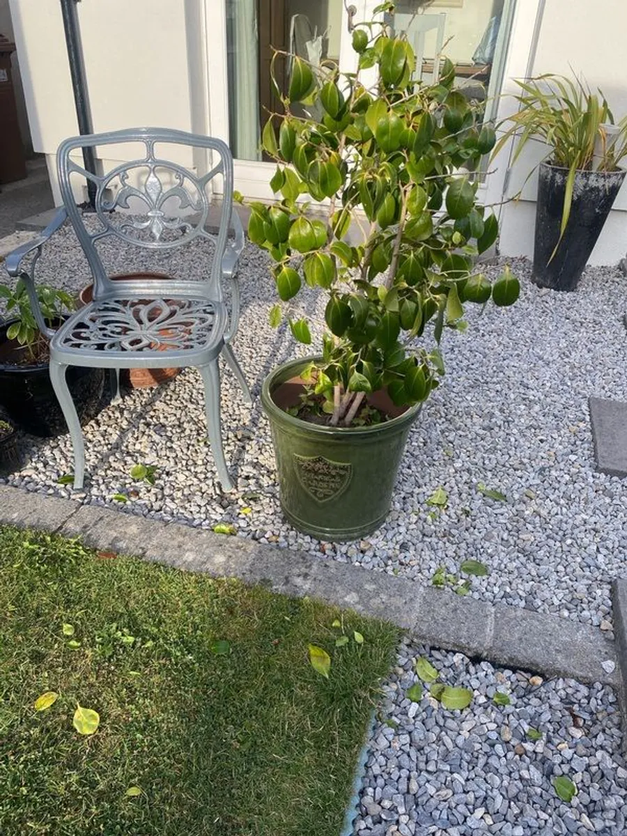 Two Outdoor Green Pots - Image 3