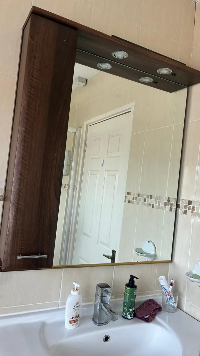 Bathroom Fixtures - Image 2