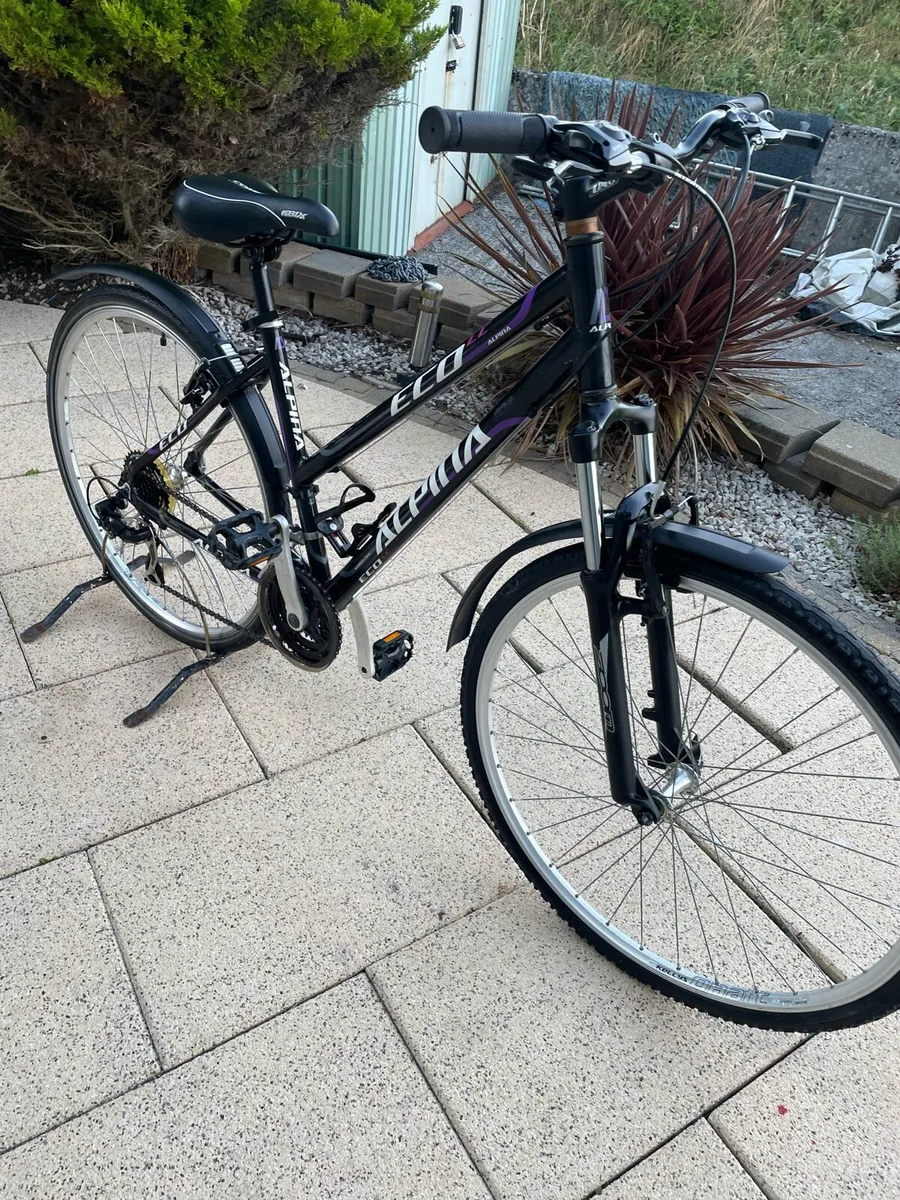 Kelly’s alpina LC Eco hybrid bike - Image 1