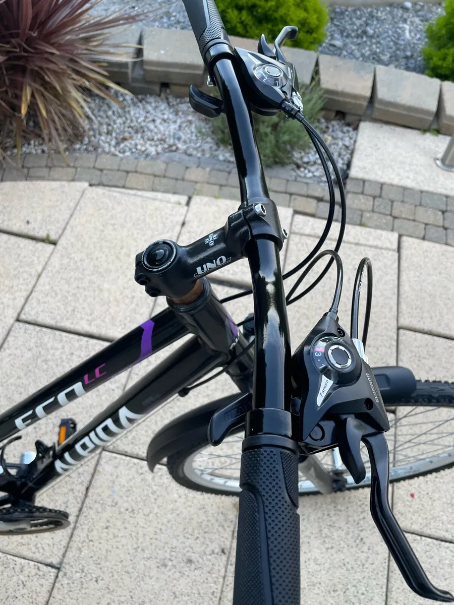 Kelly’s alpina LC Eco hybrid bike - Image 2