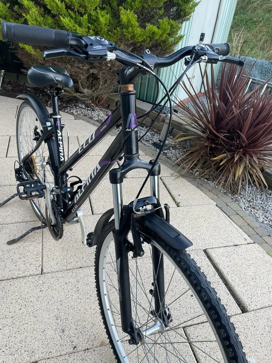 Kelly’s alpina LC Eco hybrid bike - Image 3