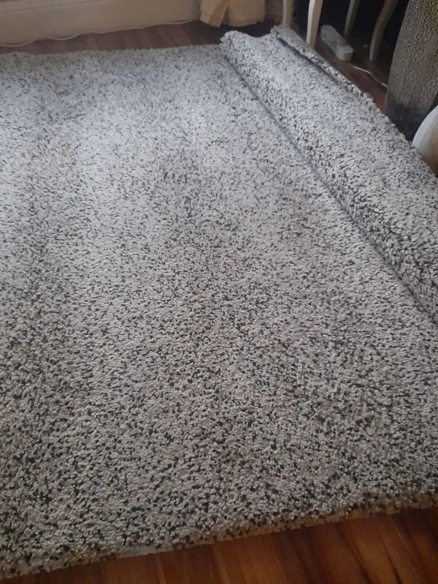 Large livingroom / bedroom rug.8 - Image 3