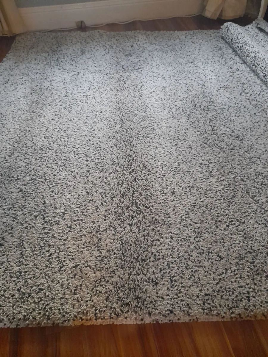 Large livingroom / bedroom rug.8 - Image 4