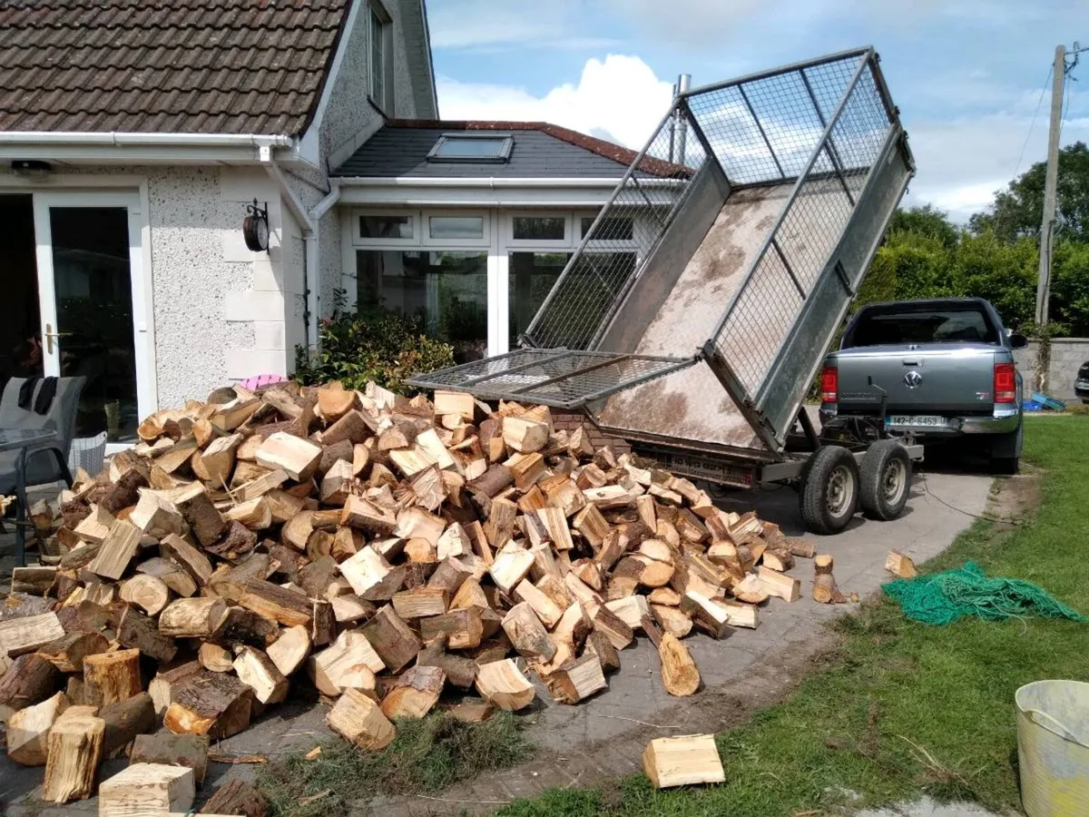 Bulk firewood trailer load - Image 2