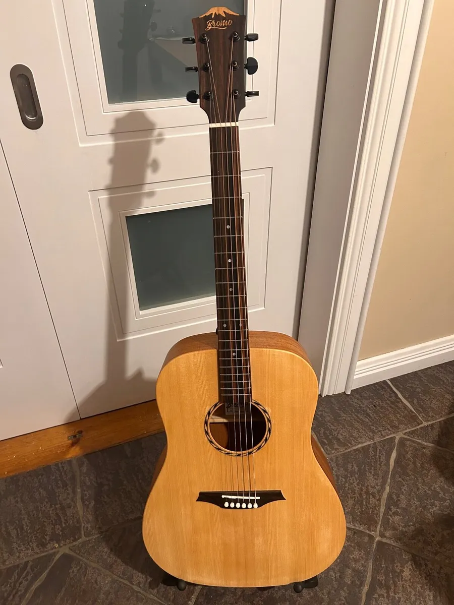 Left Handed Guitar