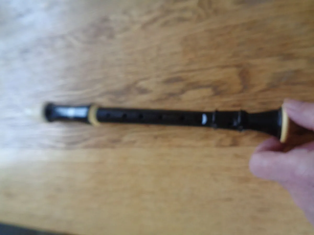Aulos 205 Recorder for Sale - Image 2