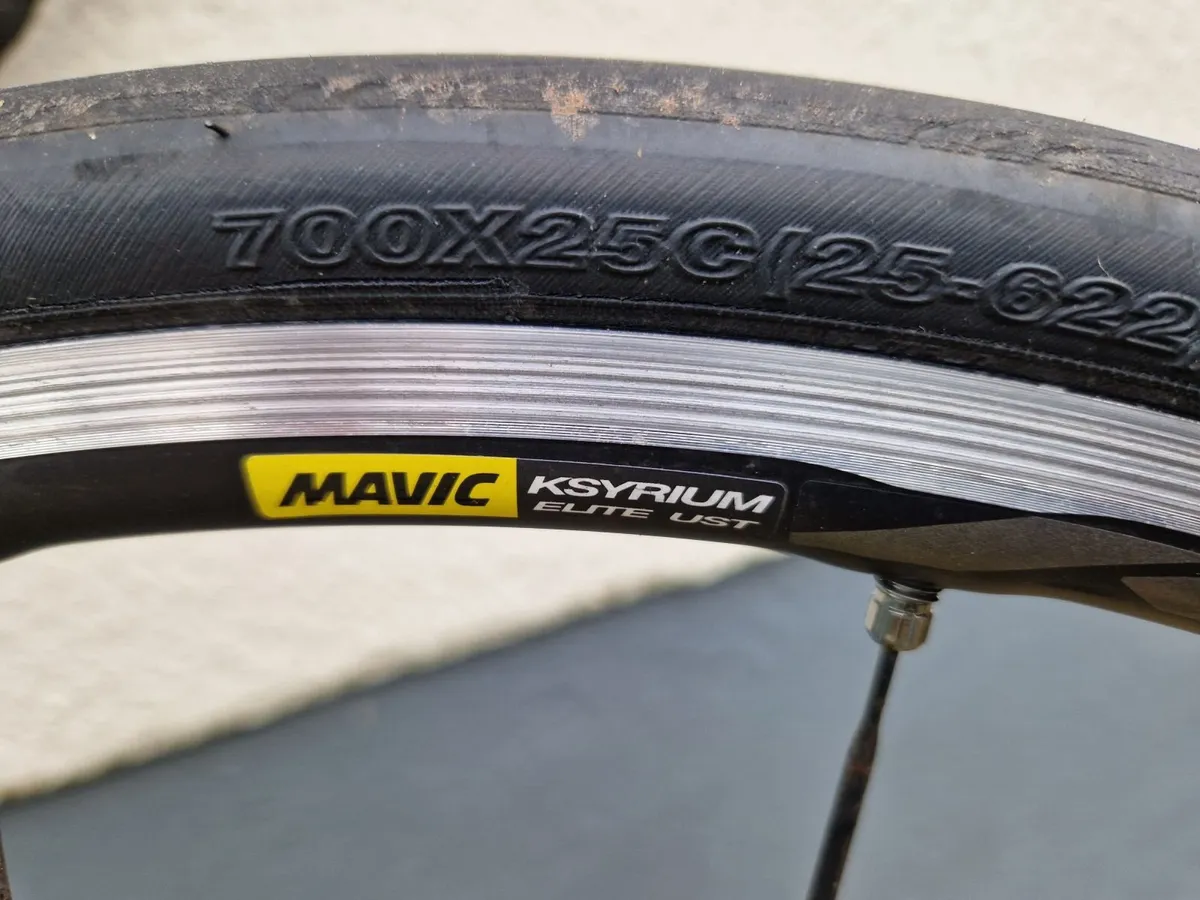 Giant TCR - Image 2