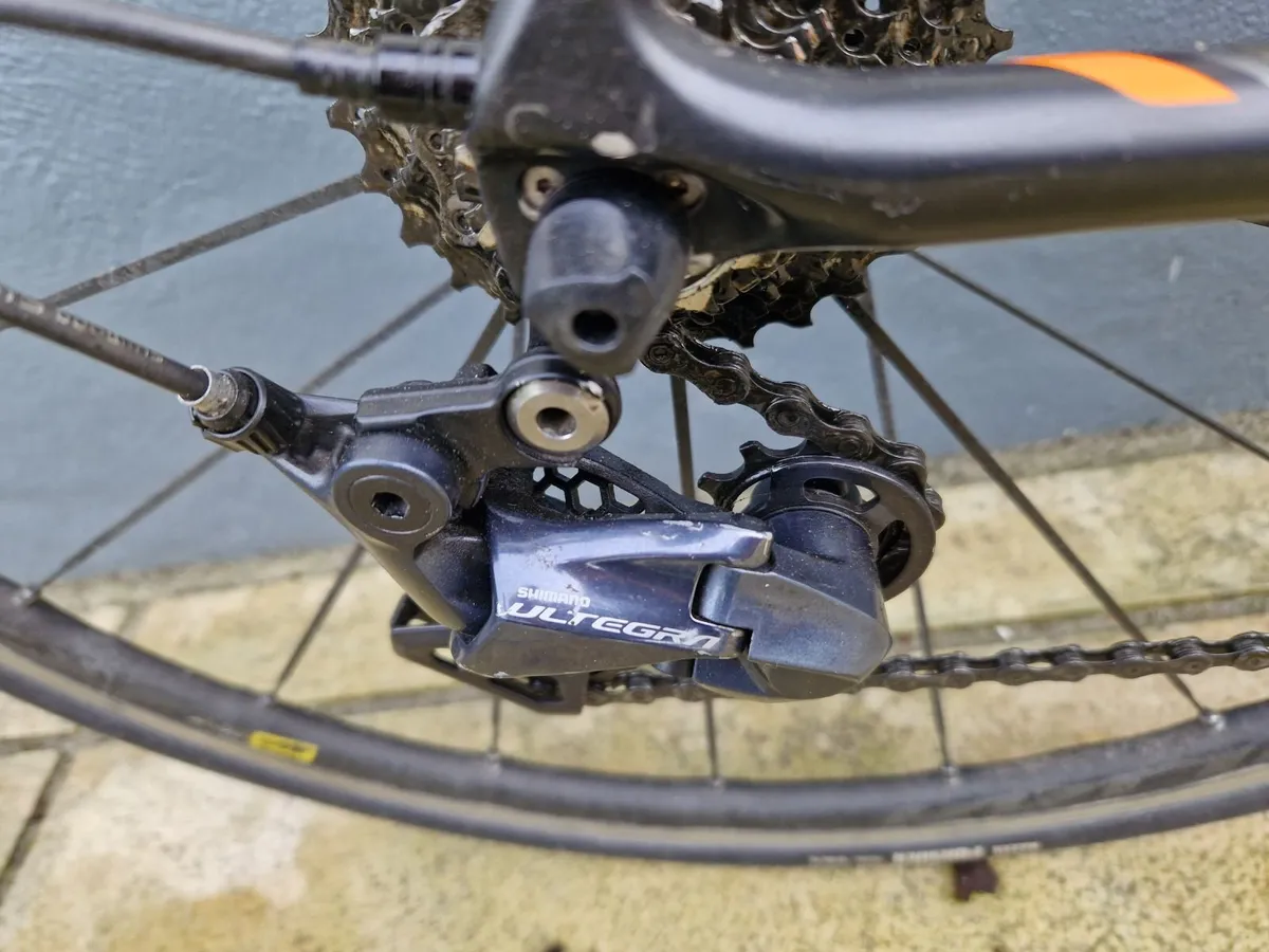 Giant TCR - Image 4