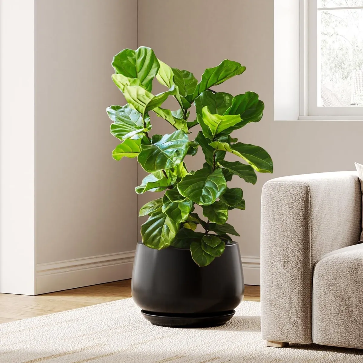 Ceramic Plant Pots Pot - Image 1