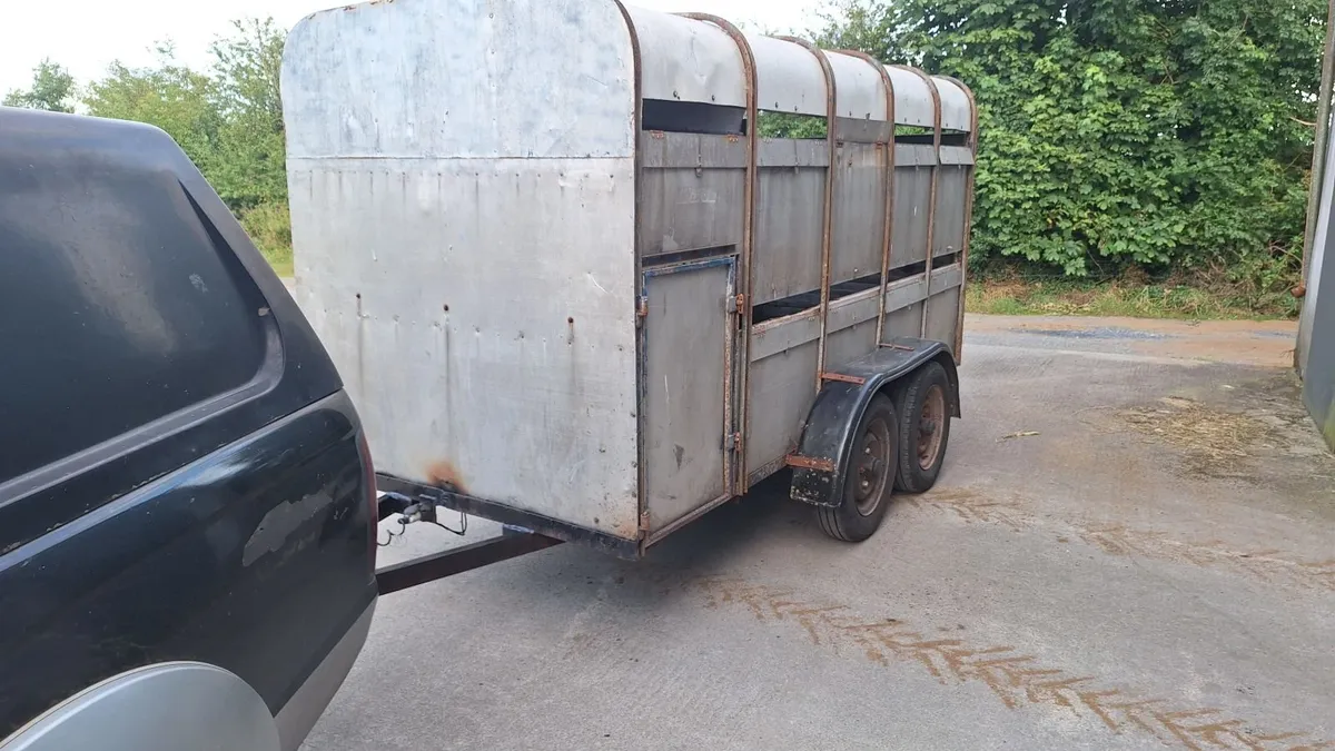 Cattle Trailer - Image 1
