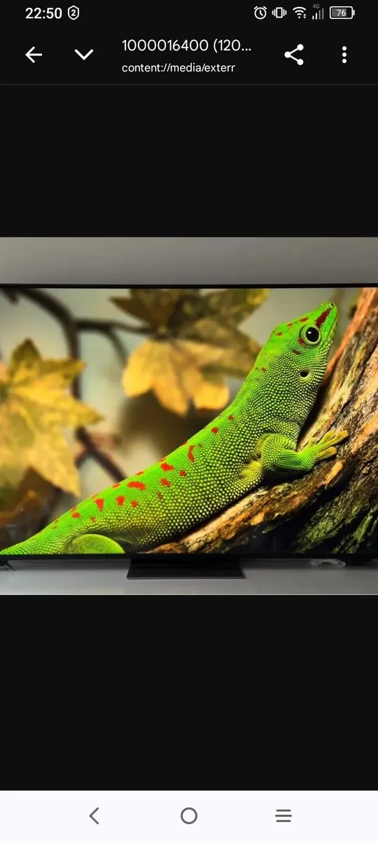 65 lg Smart TV
