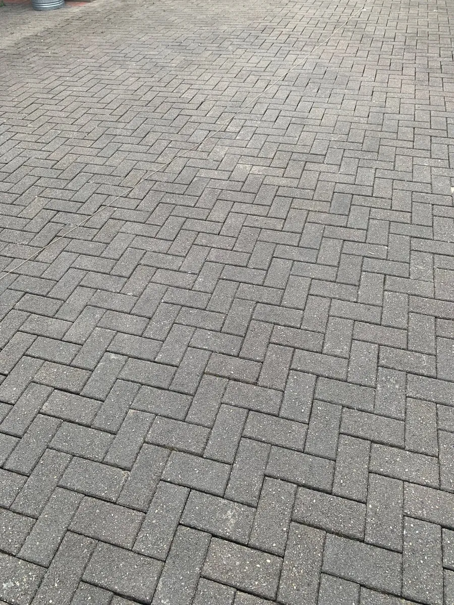 Panel fencing & brick paving - Image 2