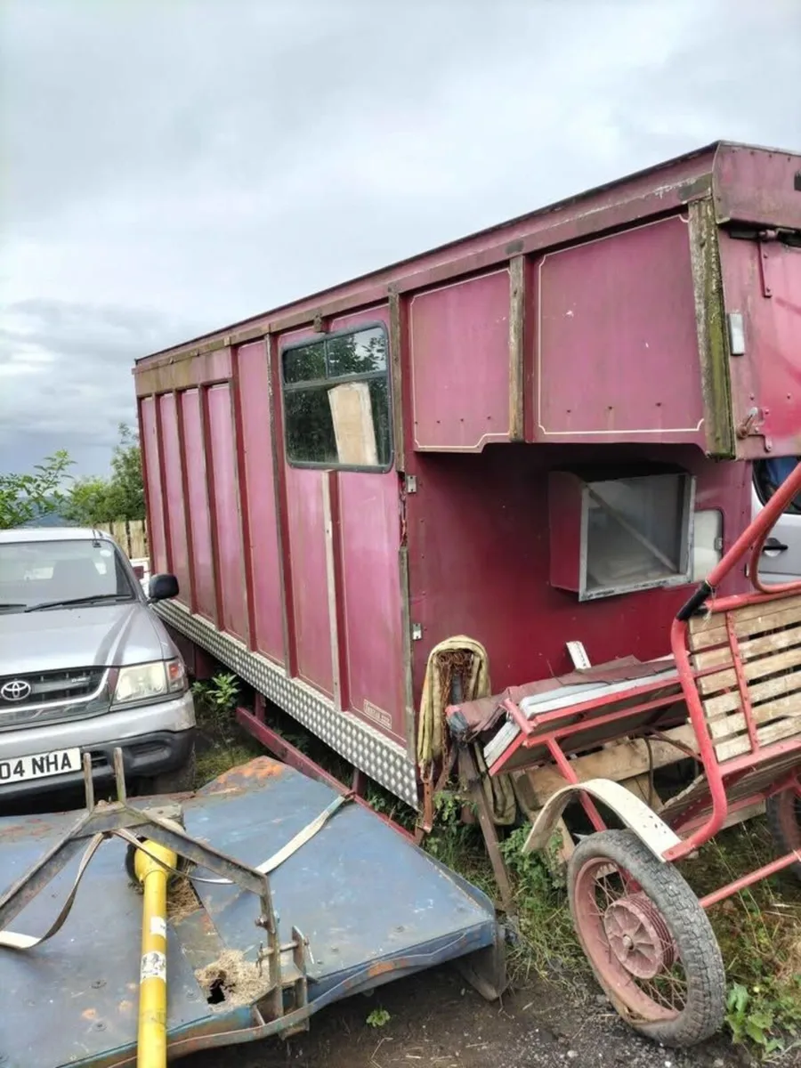 David Williams Container - Image 1
