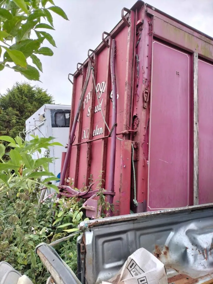David Williams Container - Image 2