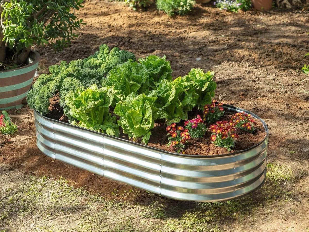 Bed Metal Beds for Garden Made of Galvanised - Image 2